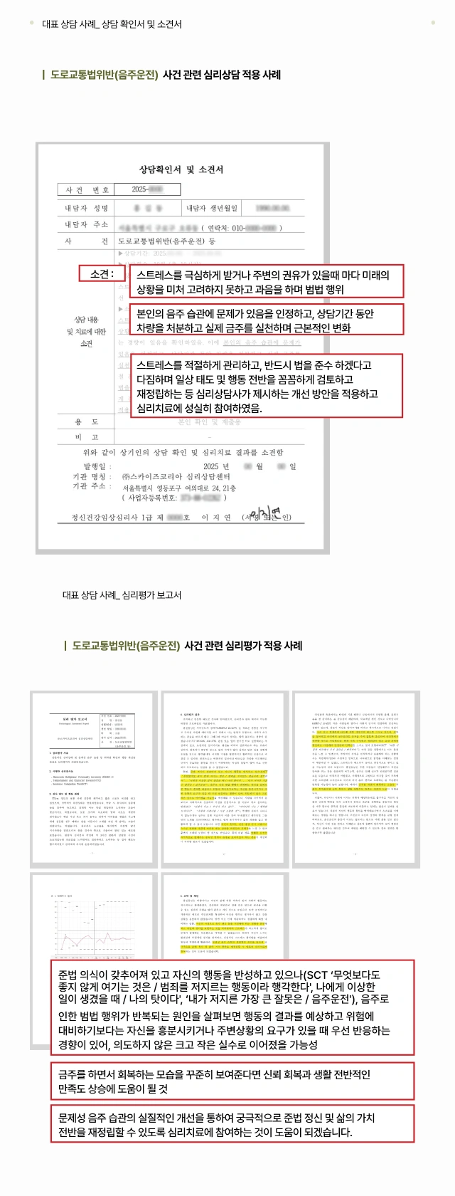 심리상담센터 도로교통법위반 사건사례