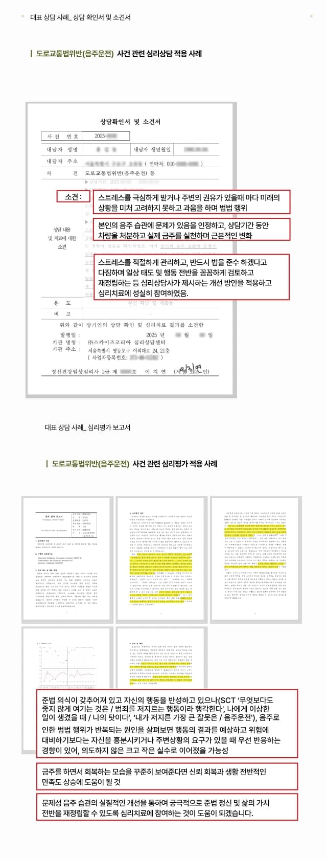 심리상담센터 도로교통법위반 사건사례