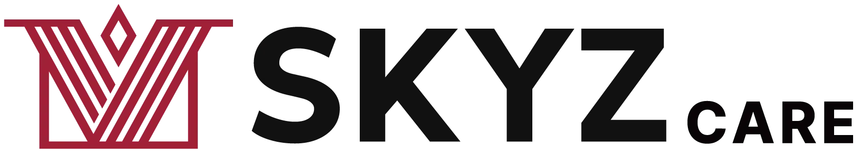 스카이즈코리아 경호센터